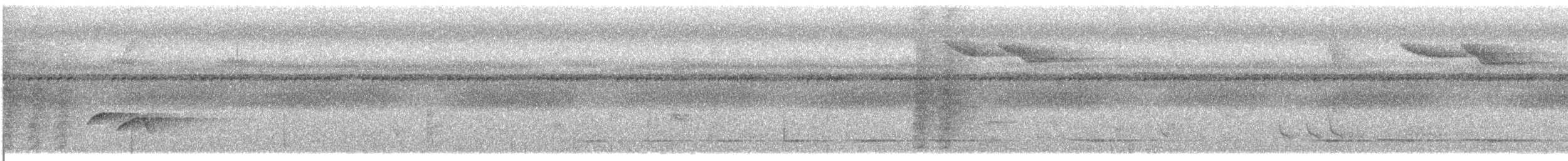 Short-tailed Drongo - ML609063656