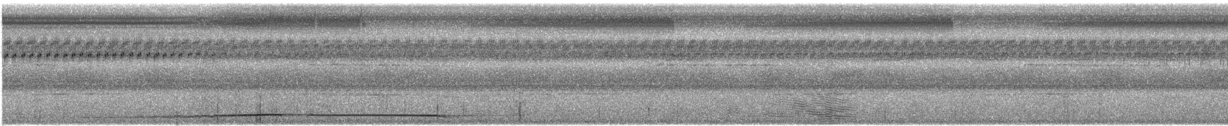 Philippinen-Blaubrustpitta - ML609064045