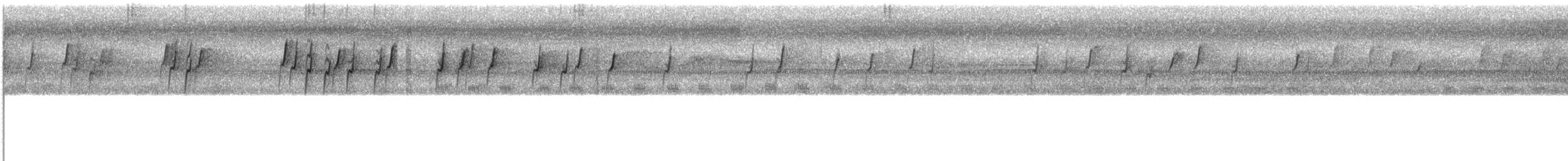 Stripe-sided Rhabdornis - ML609064103