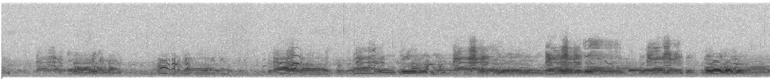 Graugans (rubrirostris) - ML609064245