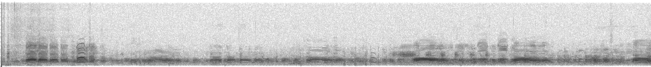 Graugans (rubrirostris) - ML609064246