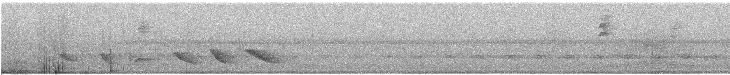 Pepitero Verdoso - ML609064253