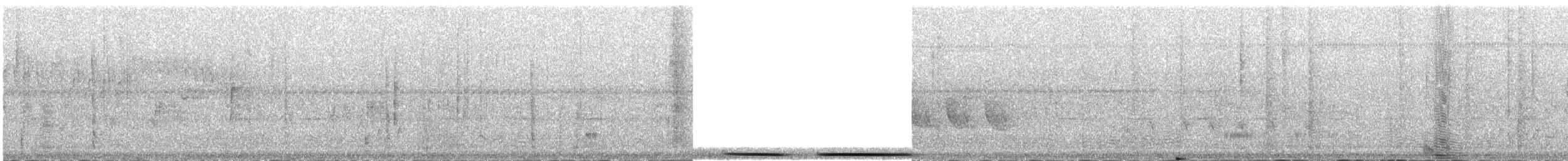 Paloma Montaraz Común - ML609064303