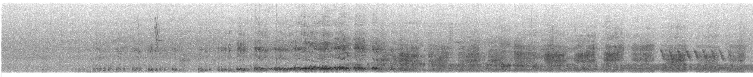 storani - ML609064373