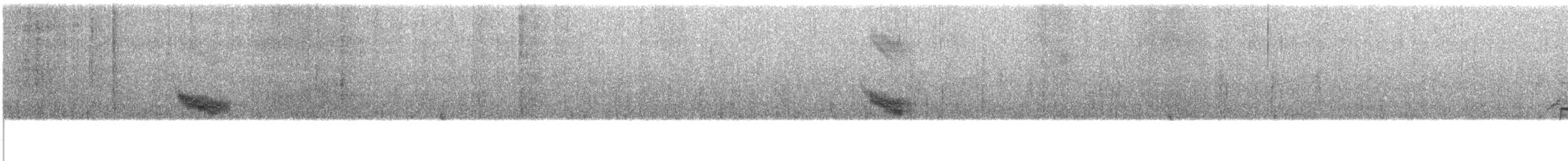 Вилохвістка плямиста - ML609064452