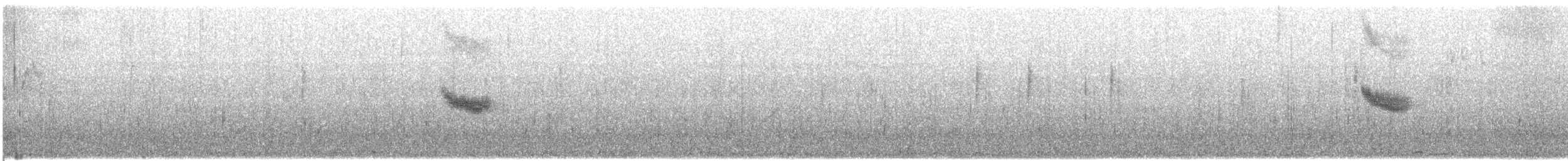 Вилохвістка плямиста - ML609064453