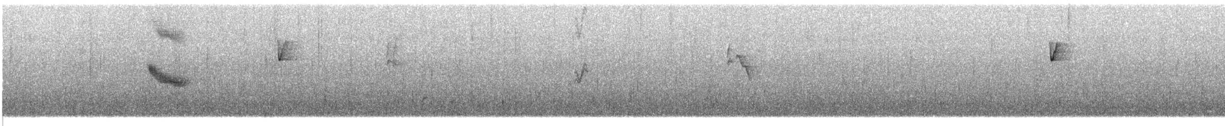Вилохвістка плямиста - ML609064454