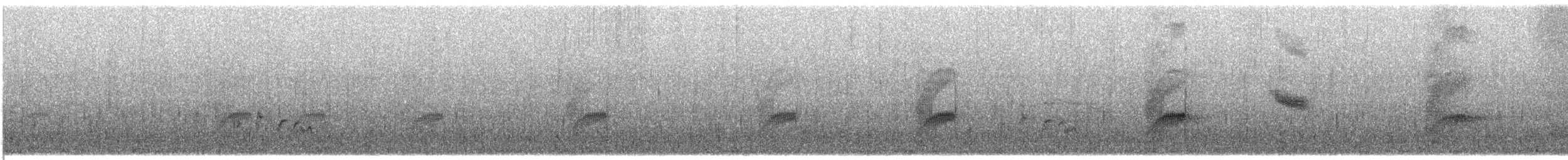 Slaty-headed Parakeet - ML609064796