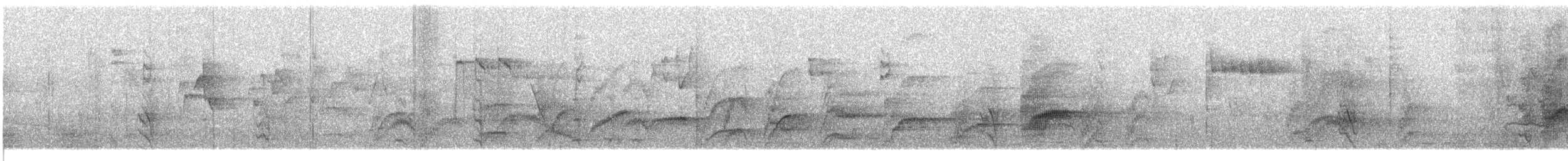 Slaty-headed Parakeet - ML609064798