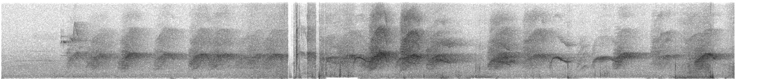 Slaty-headed Parakeet - ML609064800