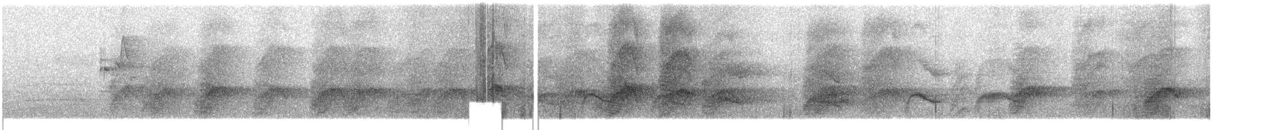 Slaty-headed Parakeet - ML609064802