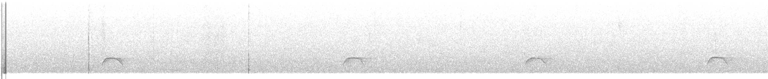 Élénie à cimier blanc (chilensis) - ML609064948