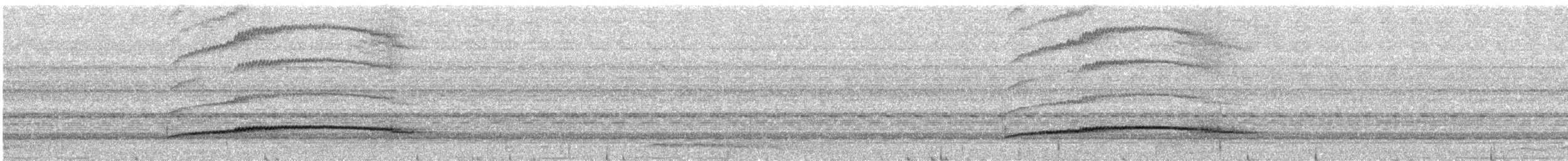ledňáček královský (ssp. princeps/erythrorhamphus) - ML609065067