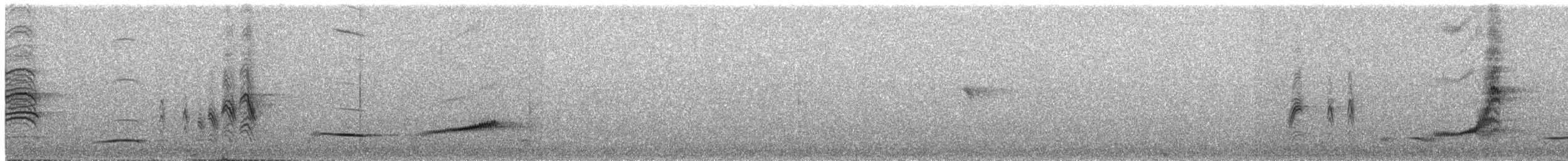 Grande Pseudobrève - ML609065070