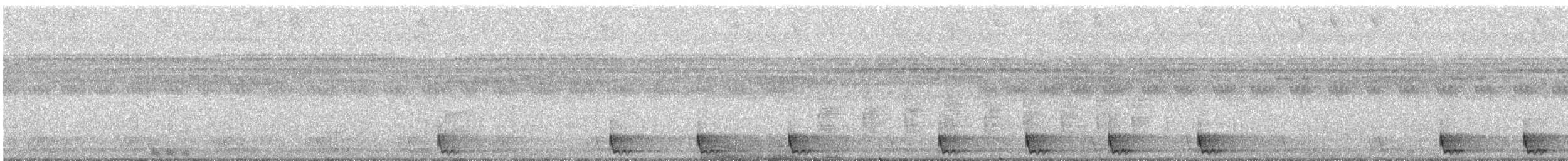 Large-tailed Nightjar - ML609065111