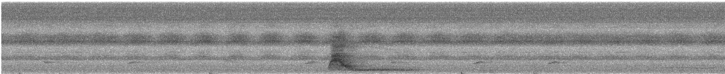 Суматранская воронья кукушка - ML609065120