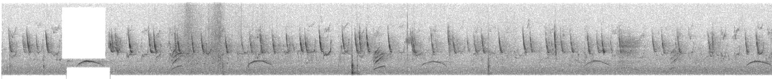 Weißkronen-Olivtyrann (Weißbauch-Olivtyrann) - ML609065121