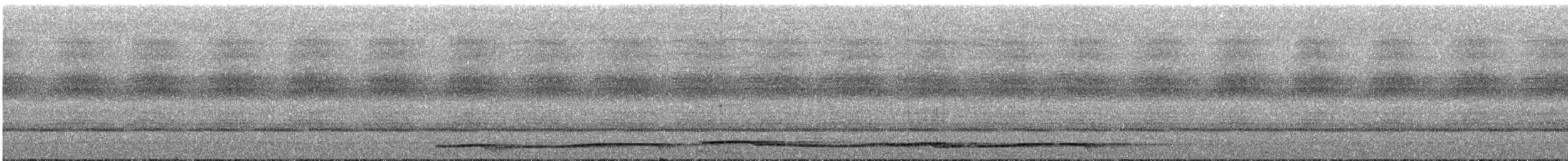 Суматранская воронья кукушка - ML609065122