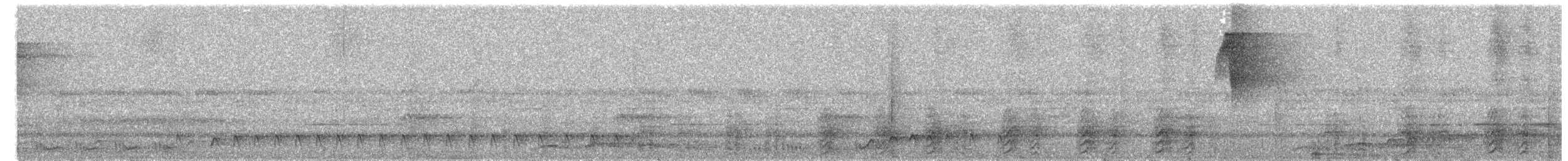 Ночнар острівний - ML609065161