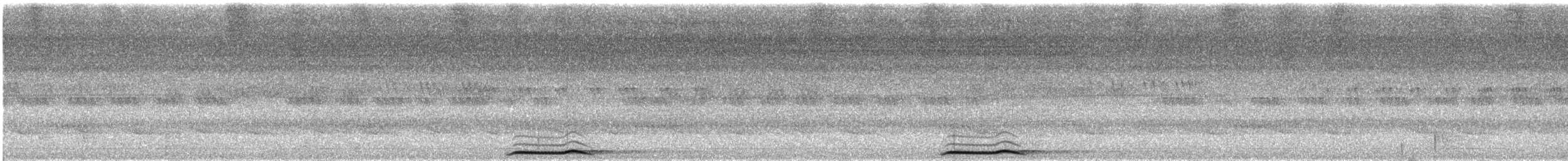 Сова-голконіг далекосхідна - ML609065250