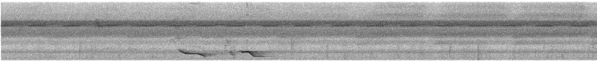 svartnakkepirol (frontalis gr.) - ML609065253