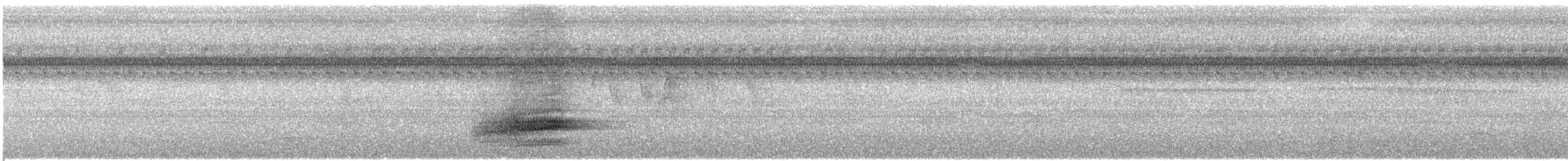 svartnakkepirol (frontalis gr.) - ML609065258
