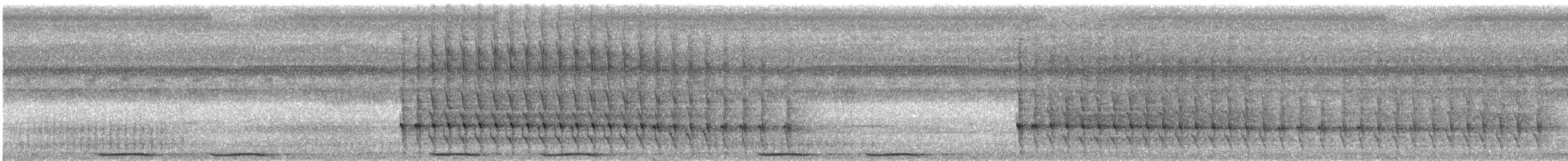 Schwarznacken-Fruchttaube - ML609065346