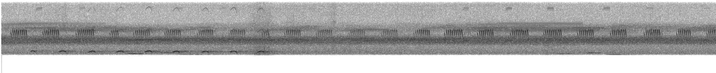 Azor Variable (grupo hiogaster) - ML609065416