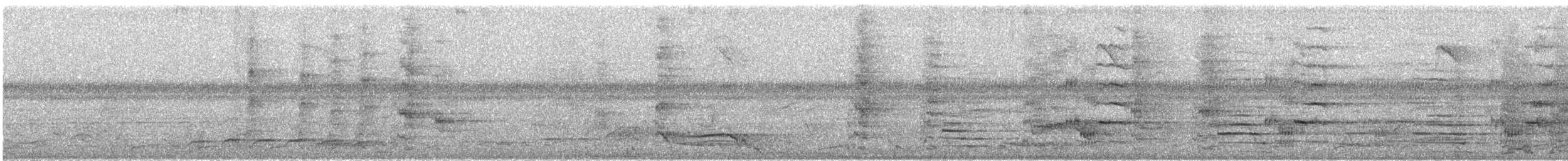Glanzfleckdrongo (carbonarius) - ML609065513