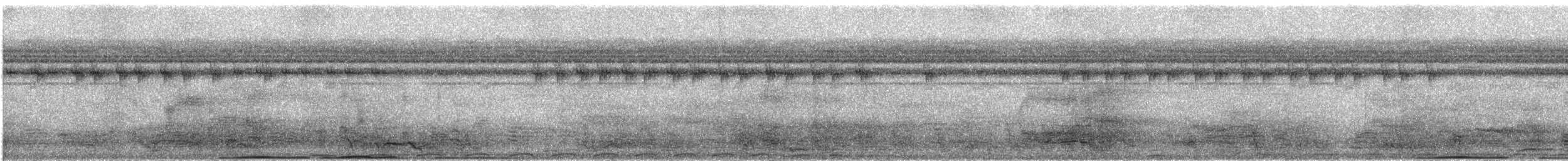 storkeiserdue (pinon/jobiensis) - ML609065520