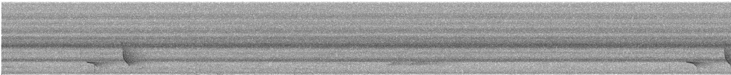 Miro à flancs noirs - ML609065679