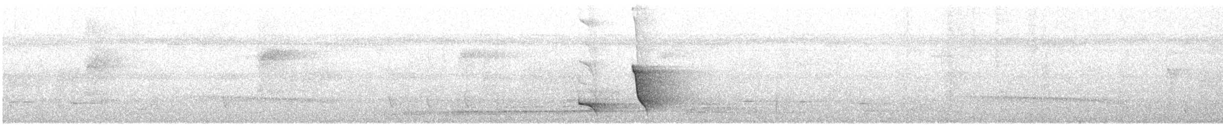 Miro à flancs noirs - ML609065680