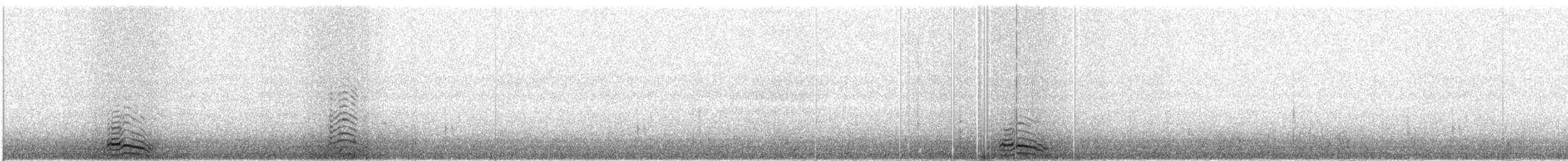 ススケカモメ - ML609065848