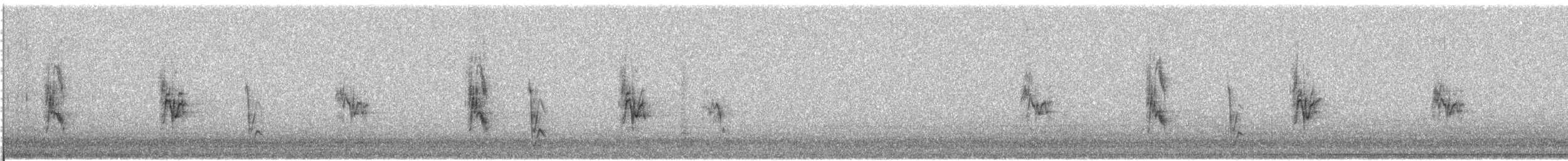 House Sparrow (Indian) - ML609065885