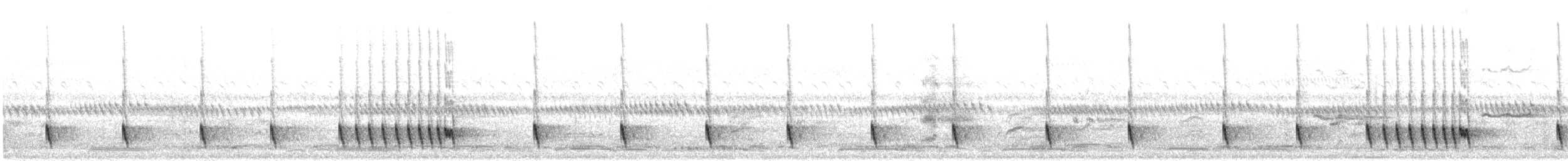 Chotacabras Hindú - ML609066041