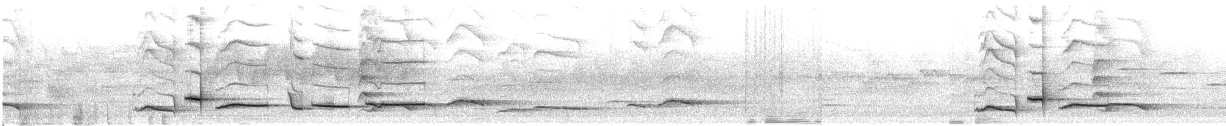 Тимельовець білочеревий - ML609066117