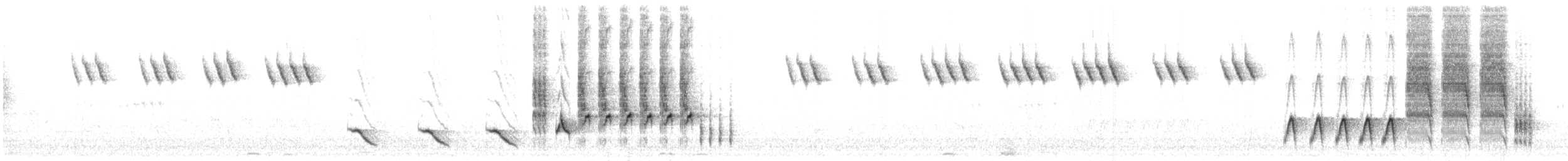 slavík obecný (ssp. golzii) - ML609066175