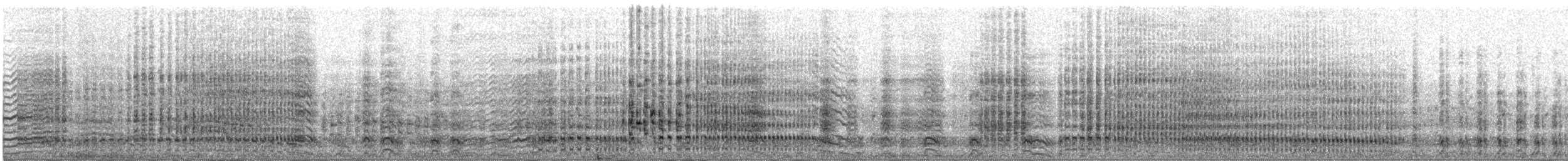 buřňák černobílý (ssp. capense) - ML609066289
