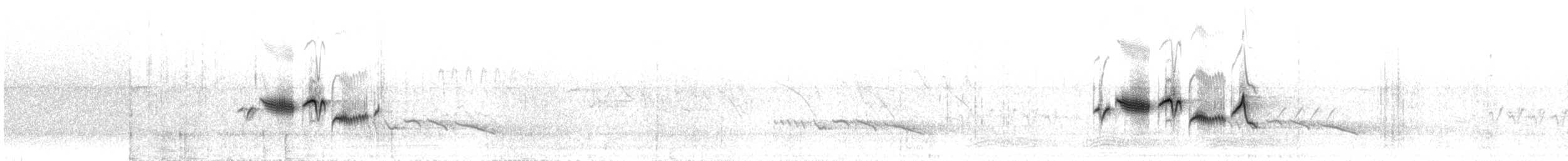 Рыжебрюхая синехвостка - ML609066304