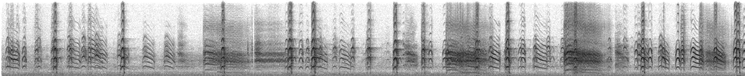 rybák jižní - ML609066331