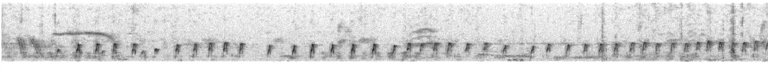 tiaraisfugl (cristatus gr.) - ML609066364