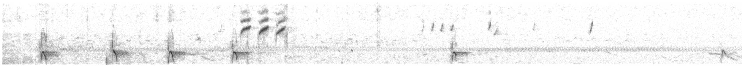 langnebbpiplerke (nivescens gr.) - ML609066374