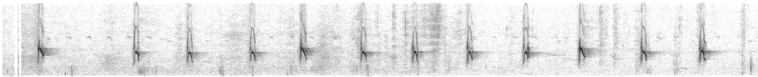 langnebbpiplerke (nivescens gr.) - ML609066375