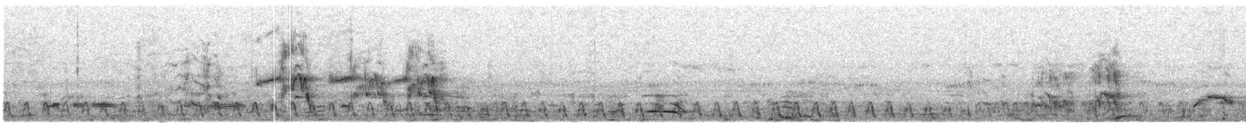 Slender-tailed Nightjar - ML609066442