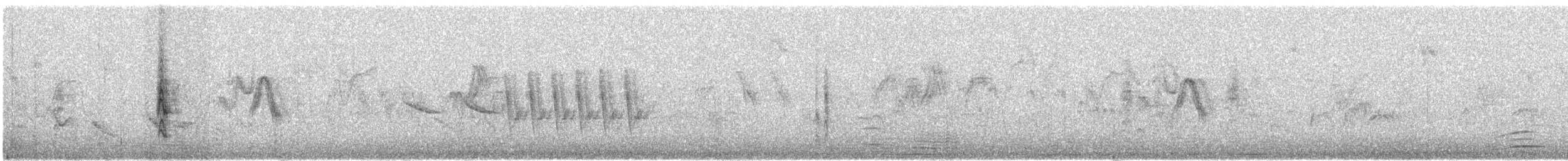 ミヤマイワビタキ（sordida） - ML609066450