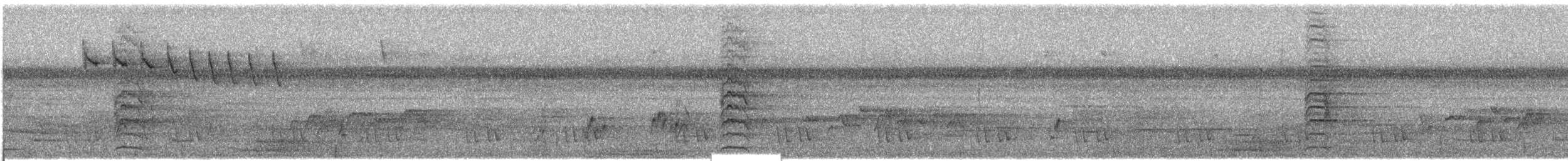 langhaleparakitt (longicauda/defontainei) - ML609066499