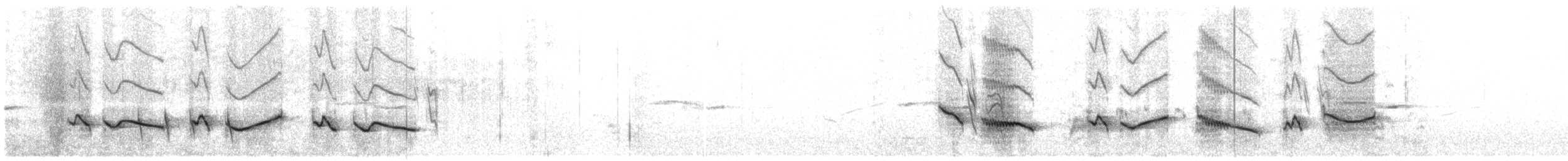 Çatal Kuyruklu Drongo (divaricatus/lugubris) - ML609066515