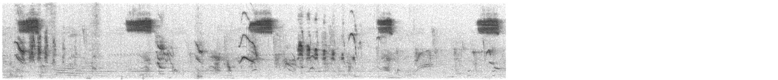 クロヒタキ - ML609066618