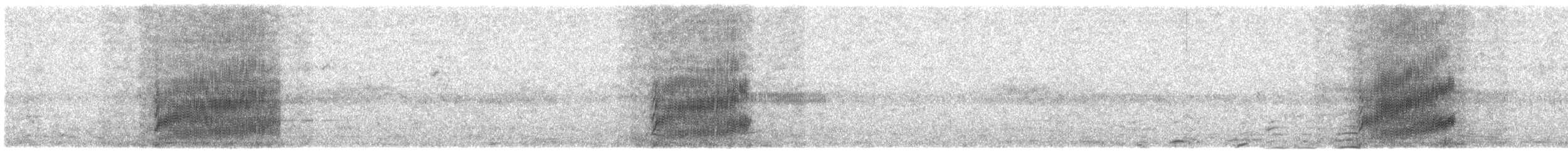 クロヒタキ - ML609066619