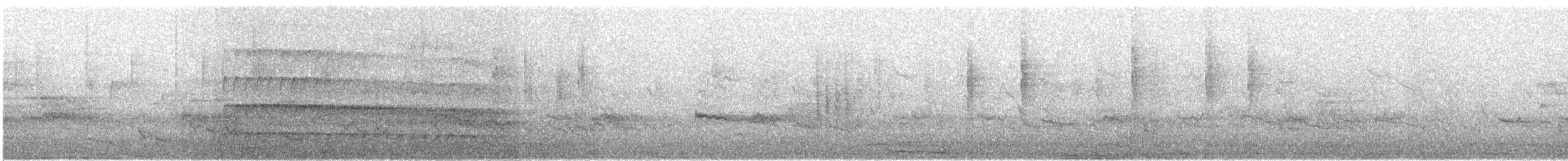 Mountain Gray Woodpecker - ML609066628